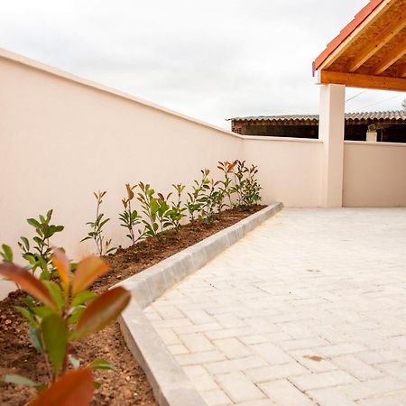 Vila Palmira'S - Relaxing Countryside House In Batalha Exteriér fotografie